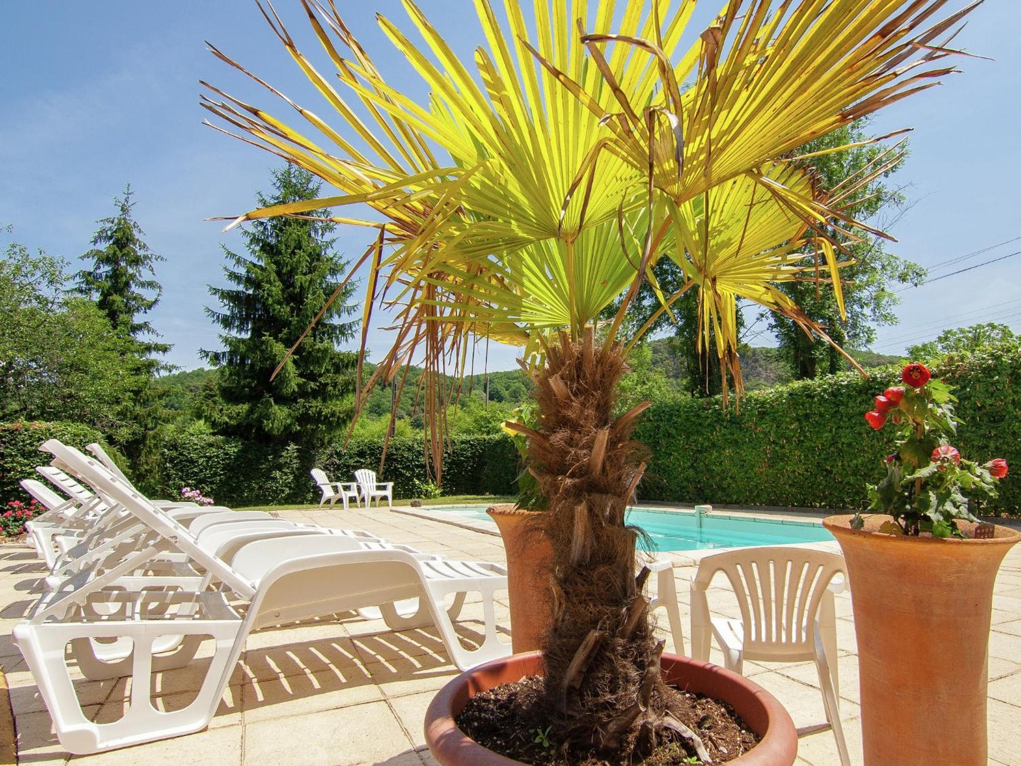 Appealing Apartment In Vezac With Swimming Pool Beynac-et-Cazenac Dış mekan fotoğraf